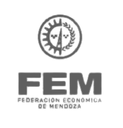 Logo FEM
